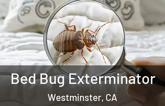  Bed Bug Exterminator Westminster, CA