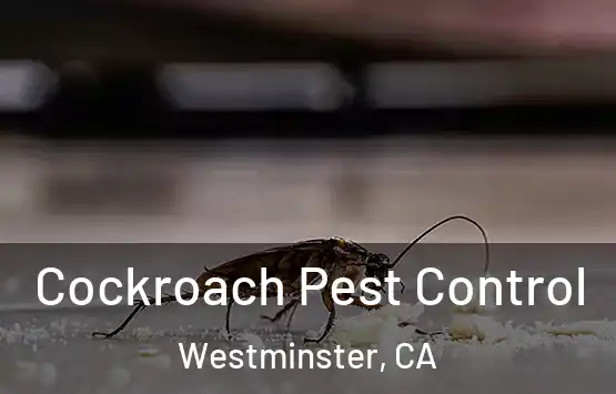  Cockroach Pest Control Westminster, CA