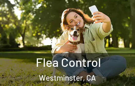  Flea Control Westminster, CA