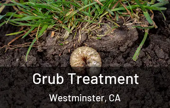  Grub Treatment Westminster, CA