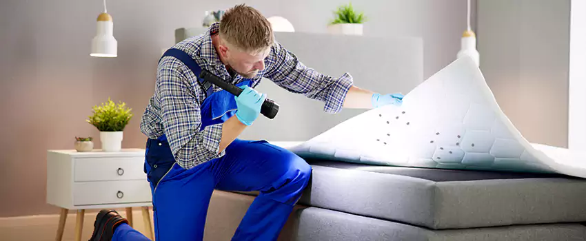 bed-bug-treatment in Westminster, CA