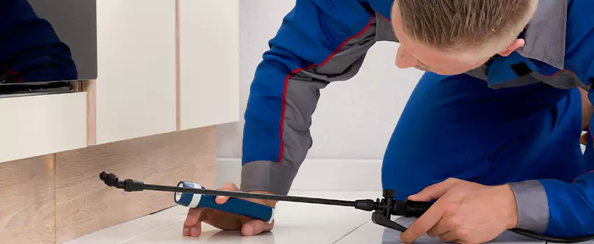 Ant Control for Bedrooms in Westminster, CA