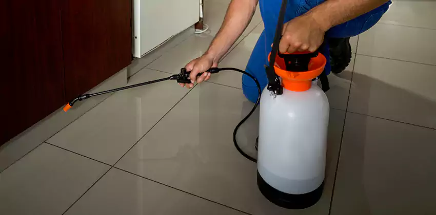 Commercial Pest Extermination for Offices in Westminster, CA