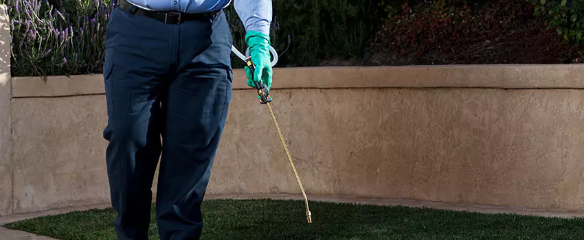 Emergency Pest Extermination for Children and Pets Westminster, CA