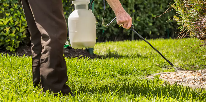 Grub Treatment for Bedrooms Westminster, CA