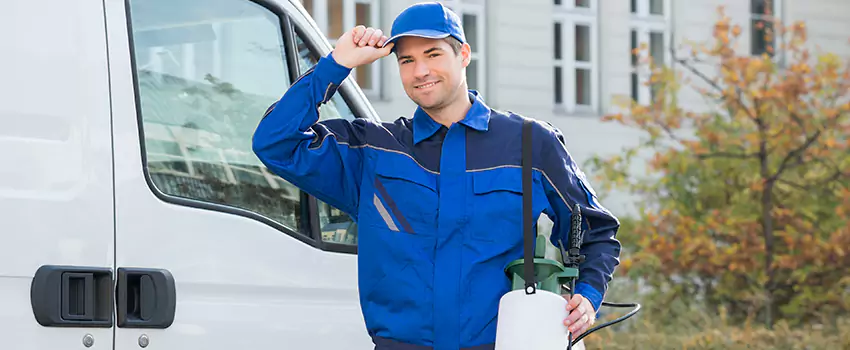 Organic and Chemical Spider Control Options Westminster, CA