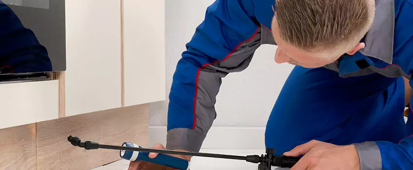 Termite Control for Children and Pets in Westminster, CA