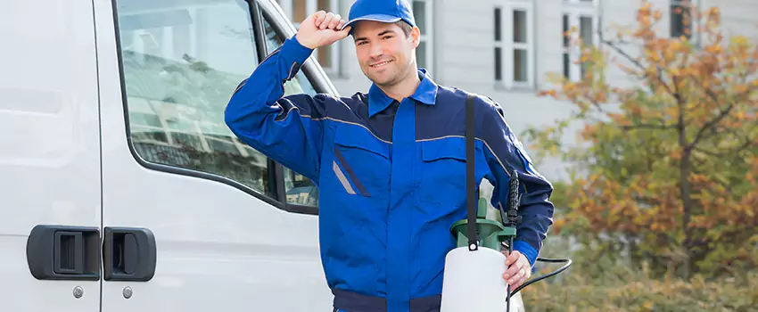 Whitefly Treatment for Bedrooms Westminster, CA