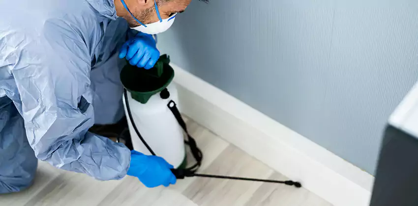 commercial-pest-exterminator in Westminster, CA