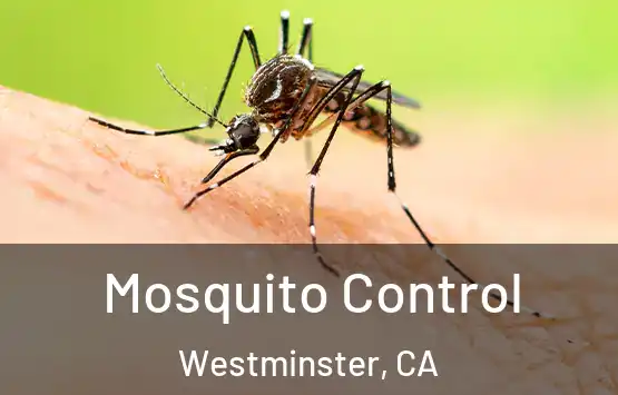  Mosquito Control Westminster, CA