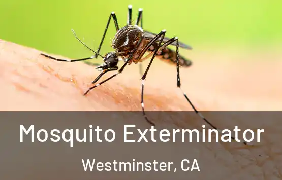  Mosquito Exterminator Westminster, CA