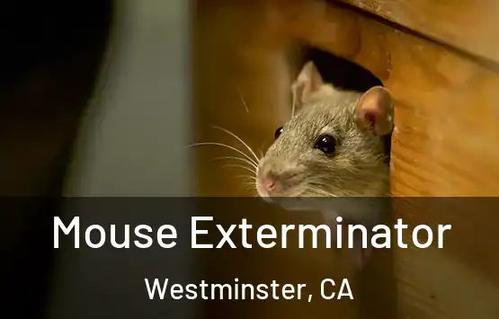  Mouse Exterminator Westminster, CA