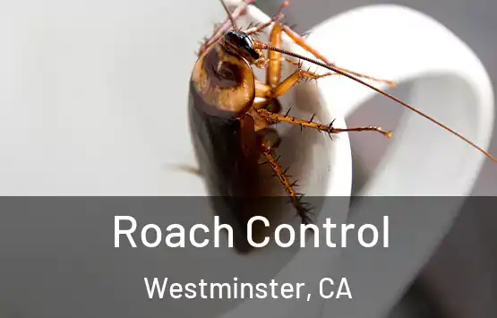  Roach Control Westminster, CA