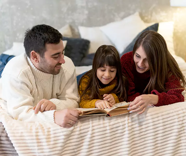 About Bed Bug Pest Control Westminster