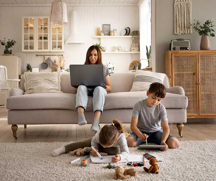 About Mice Control Westminster