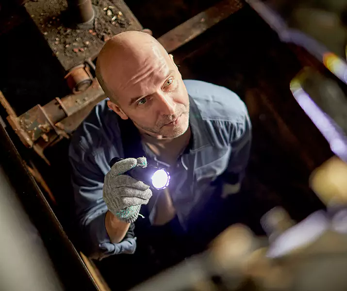 About Pest Inspection Westminster