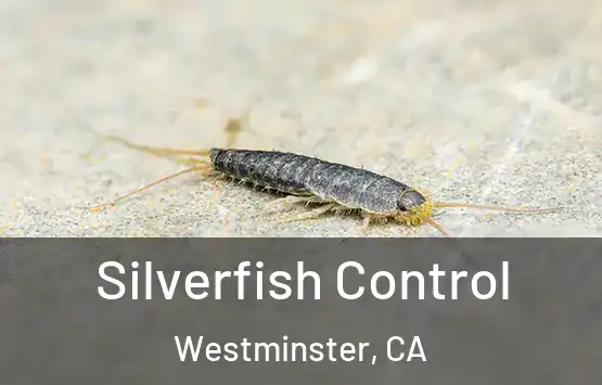  Silverfish Control Westminster, CA