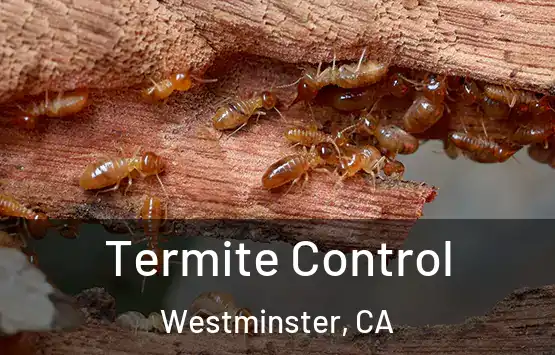  Termite Control Westminster, CA