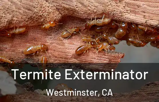  Termite Exterminator Westminster, CA