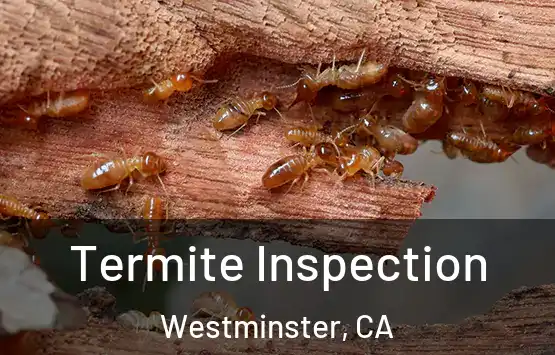  Termite Inspection Westminster, CA