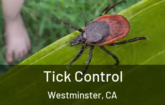  Tick Control Westminster, CA