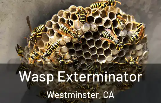  Wasp Exterminator Westminster, CA