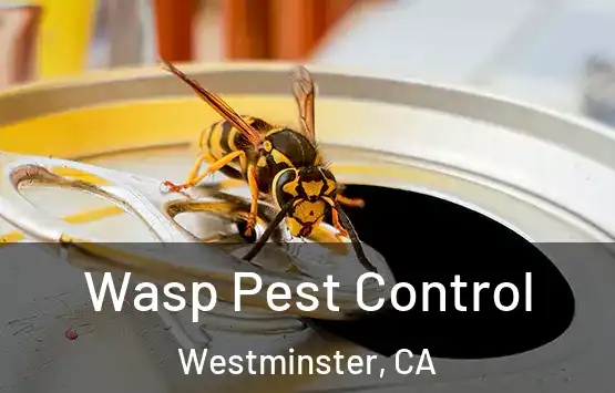  Wasp Pest Control Westminster, CA
