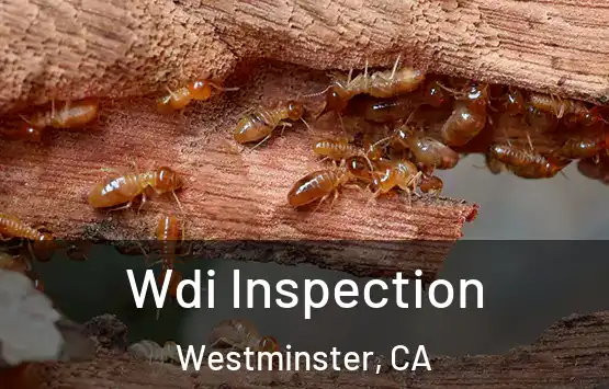  Wdi Inspection Westminster, CA